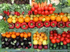 how long to water plants with soaker hose