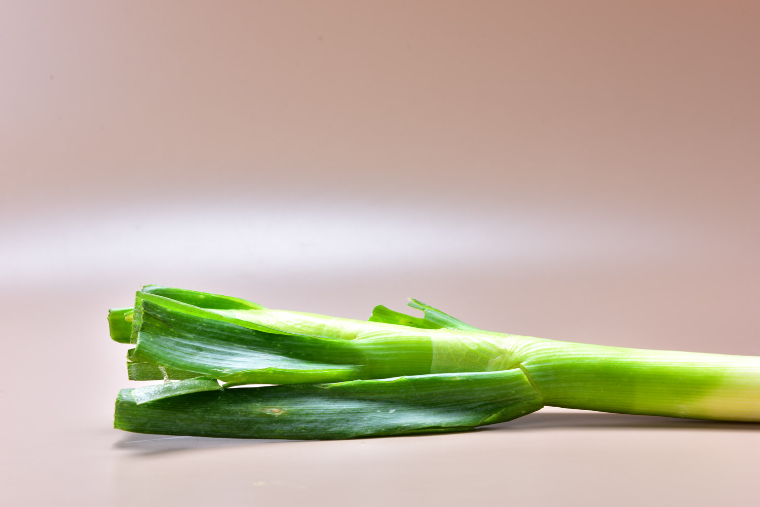 Scallion