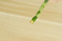 How does Fuguizhu treat worms? What medicine should be used when worms are born