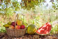 How big is the world's largest watermelon and where is its origin