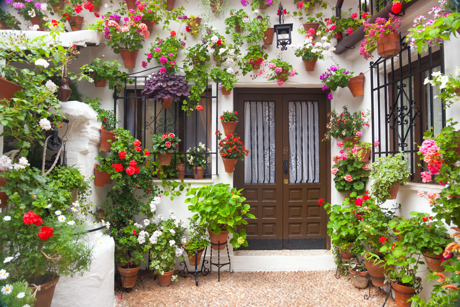 flowers and plants