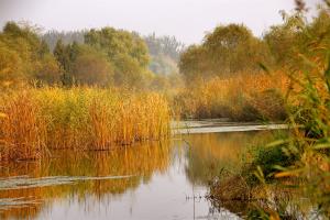 how long to water grass seed after planting