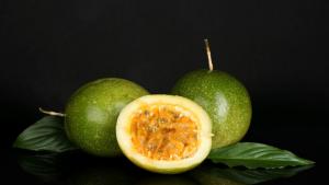 does water dissolve plant protein