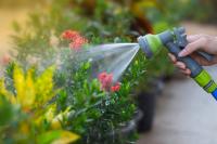 Pour some fairy water on the flowers. In three days, the yellow leaves will turn green and the roots will be strong for the winter!