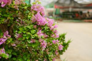 how do you prepare flower pots for planting