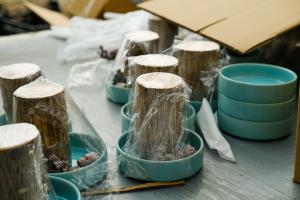 Breeding methods and precautions of Brazilian wood