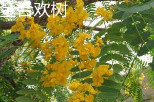 how often to water potted vegetable plants