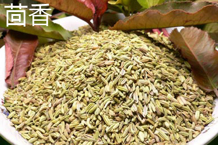 fennel