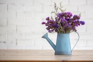 can tomato plants survive winter indoors