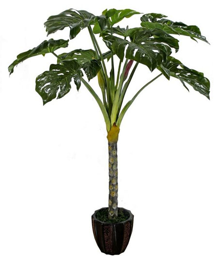 Differences in growth environment