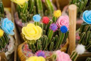 how to move a plant from jar to pot