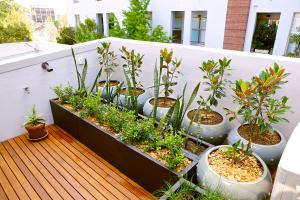 how does a self watering system for potted plants work