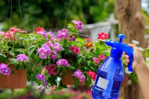 how to raise potted plant soil ph