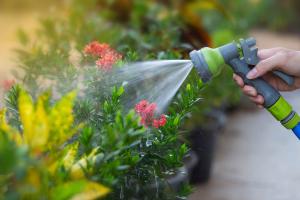 You don't have to worry about rotten roots when watering, as long as you mix the soil like this