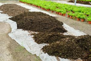 how far apart to plant pot plants outdoors