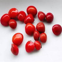 Sea red bean