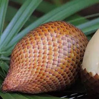 Snake skin fruit