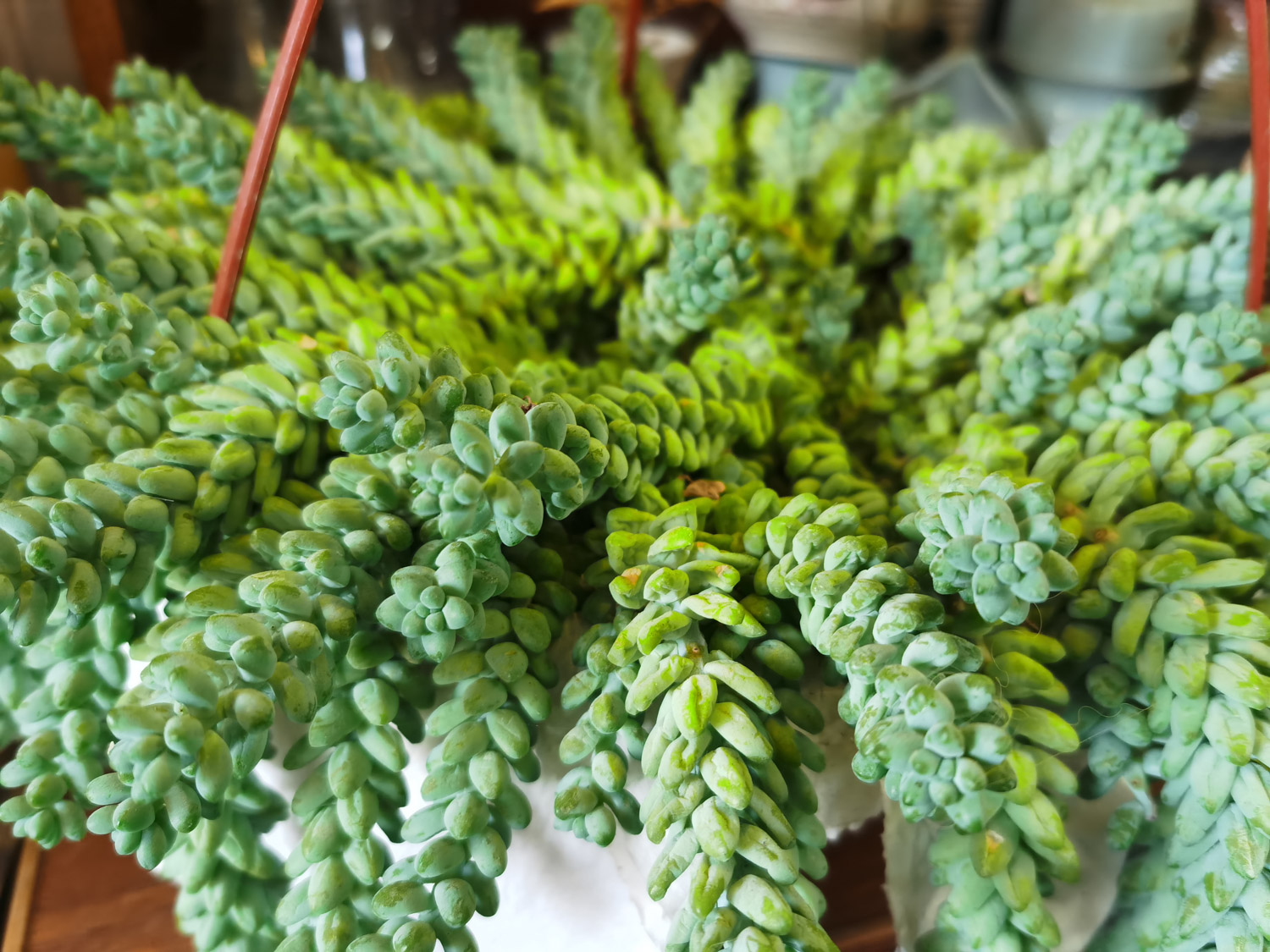 New jade decoration
