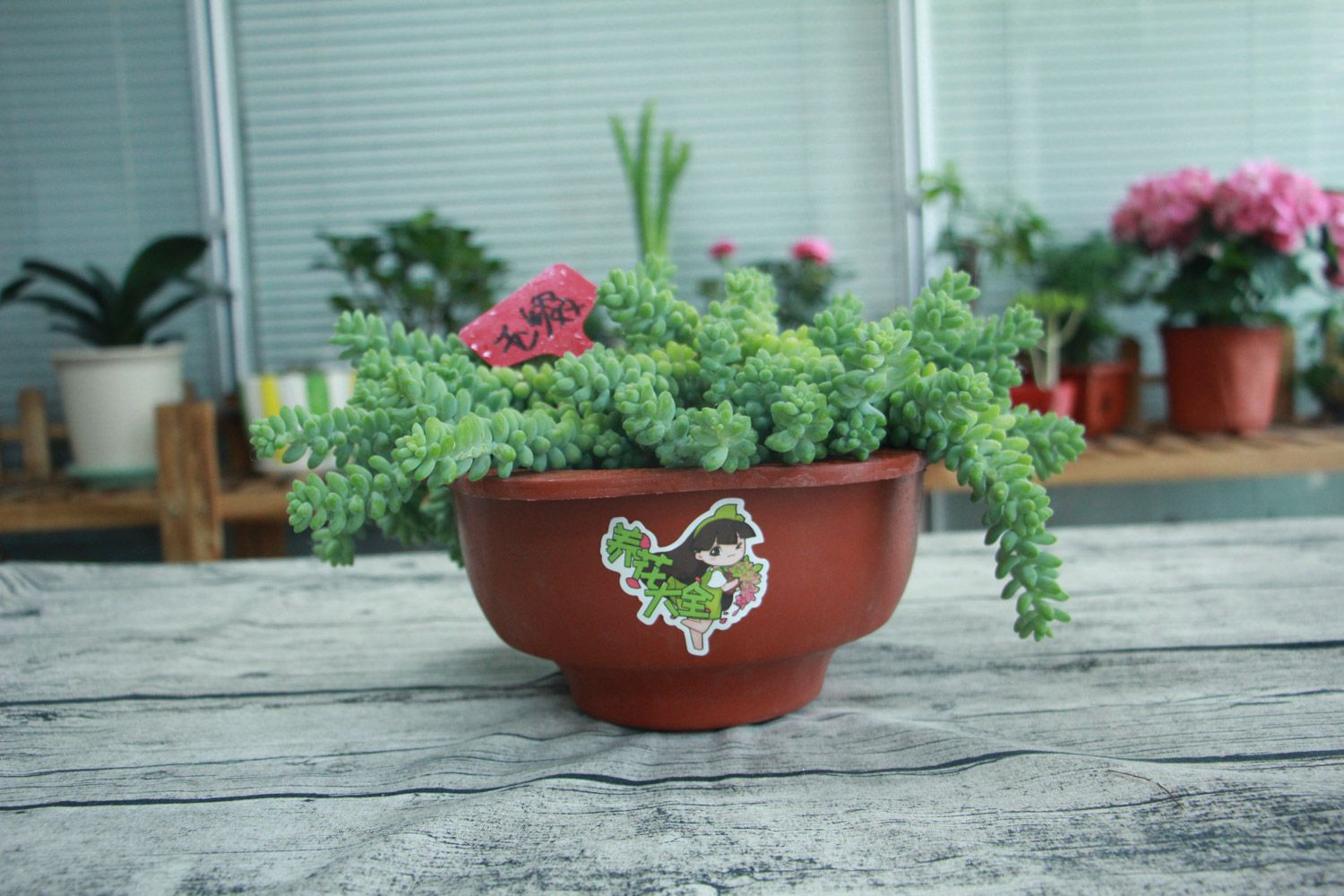 Jade decoration