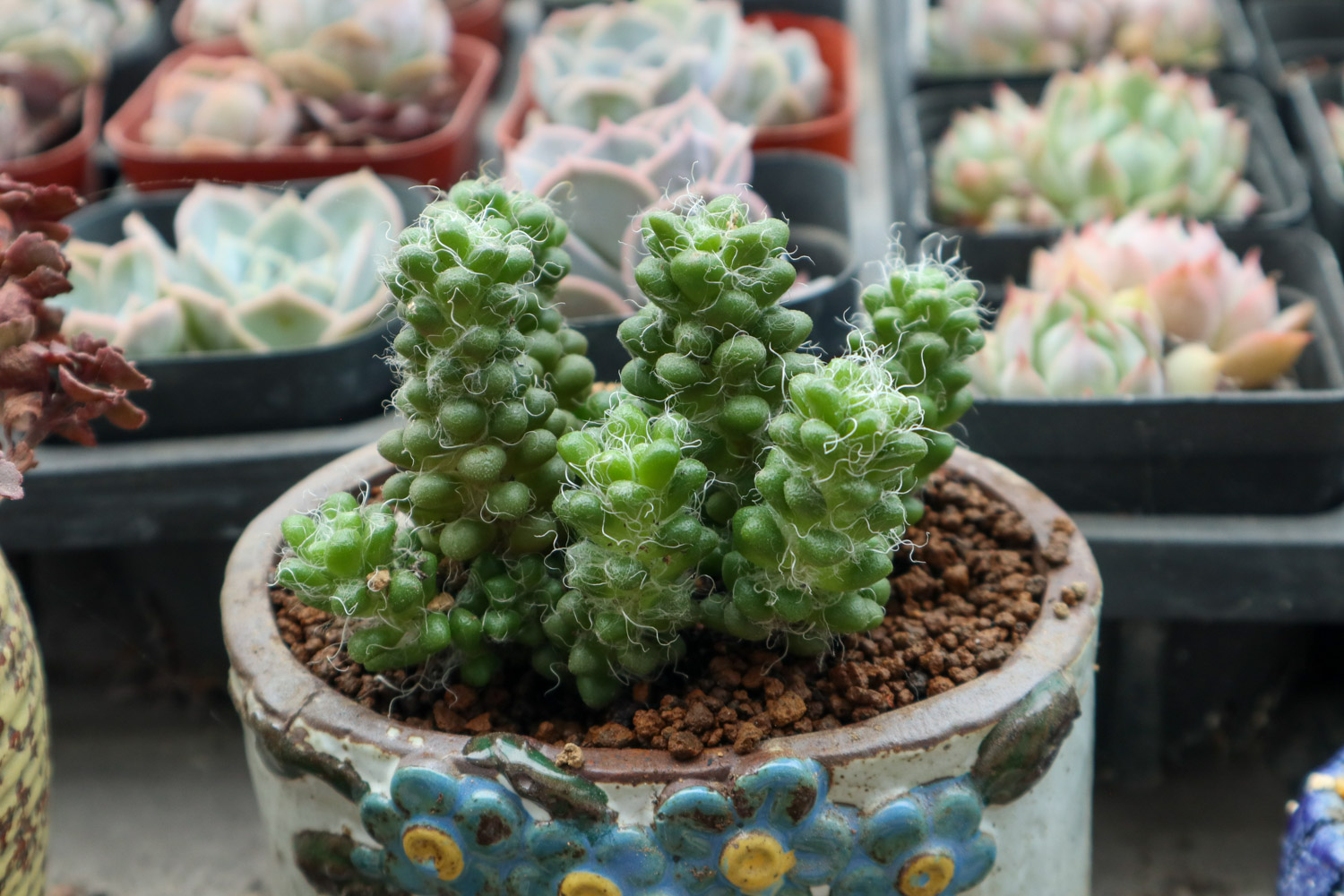 New jade decoration