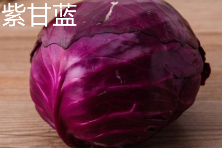 Purple cabbage
