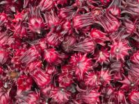 Efficacy and function of Luoshen flower