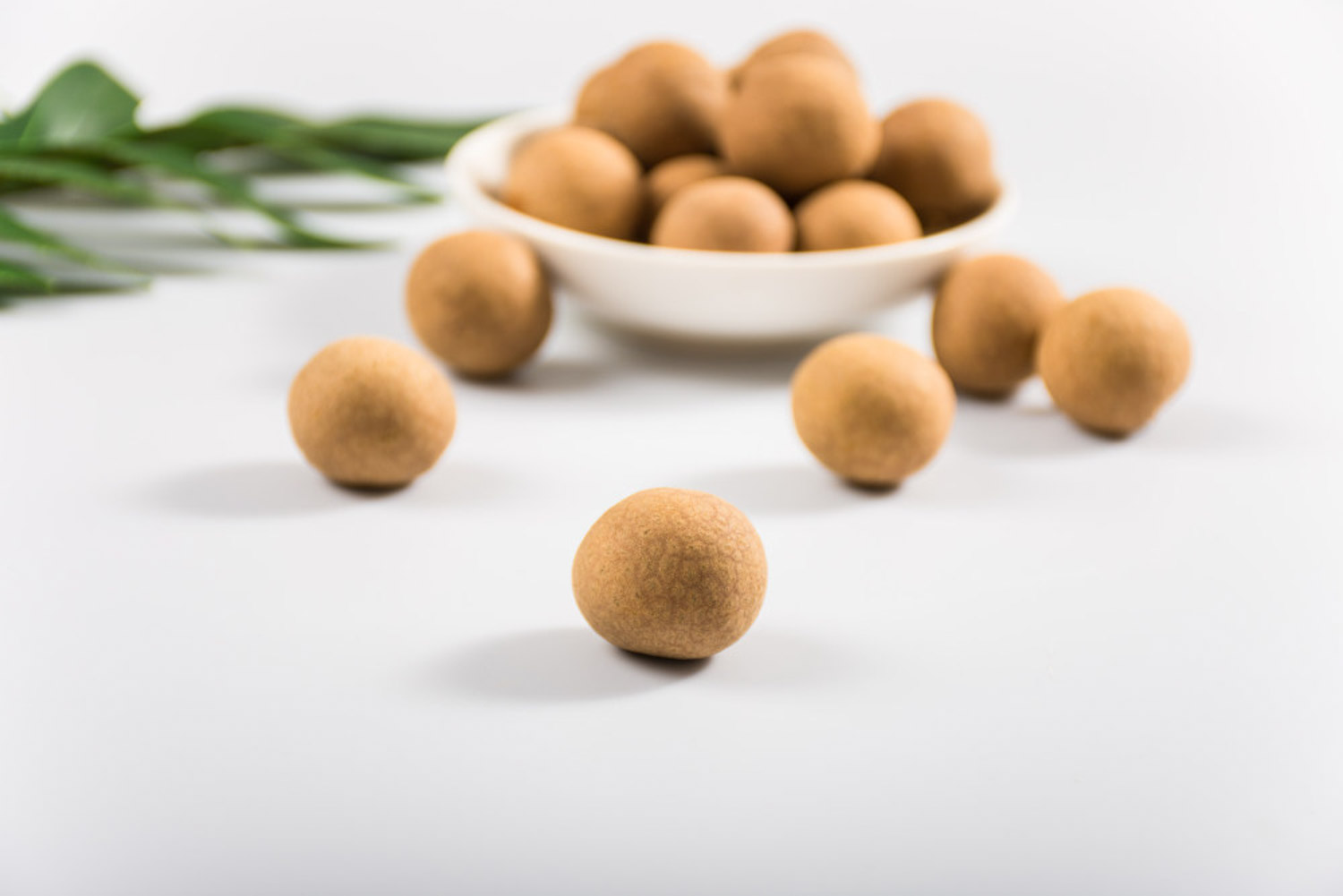 Longan