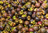 Can pregnant women eat mangosteen? What are the benefits of eating mangosteen