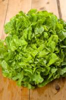 The efficacy of lettuce. What are the benefits of eating lettuce