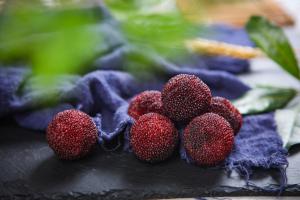 How to choose and eat red bayberry