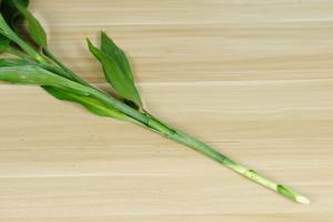 Can you put Fugui bamboo on the table and tea table